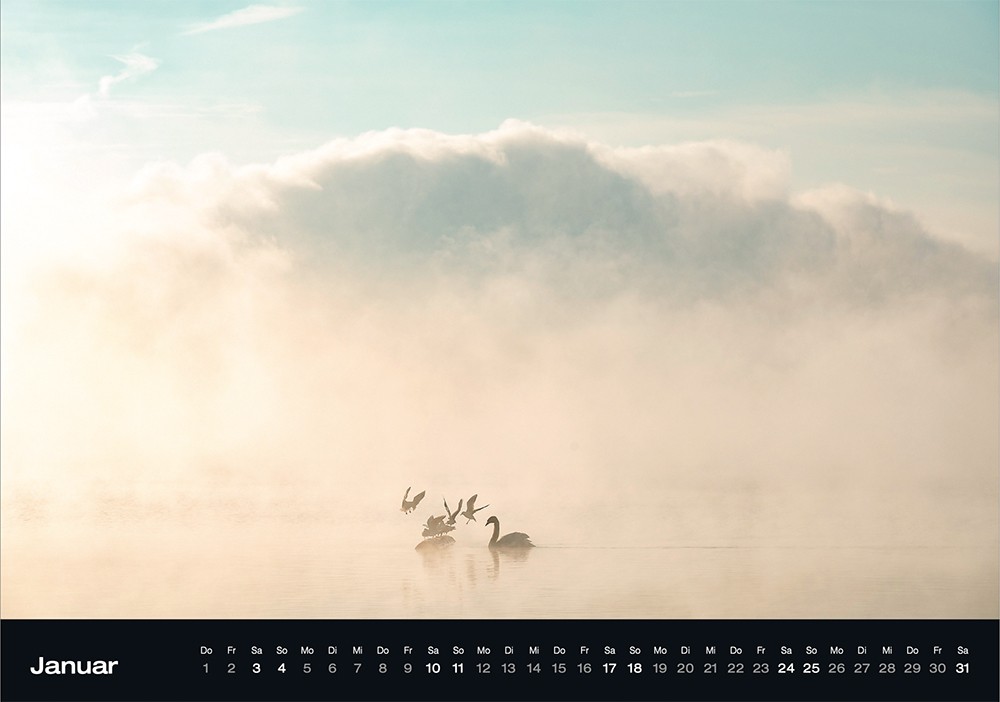 thumbnail 1. Hallwilermeer Januar Kopie