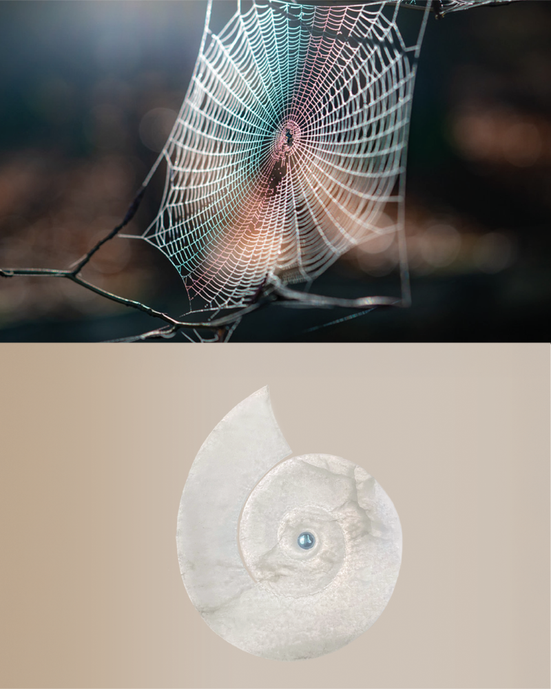 Fred Indra Instagram2