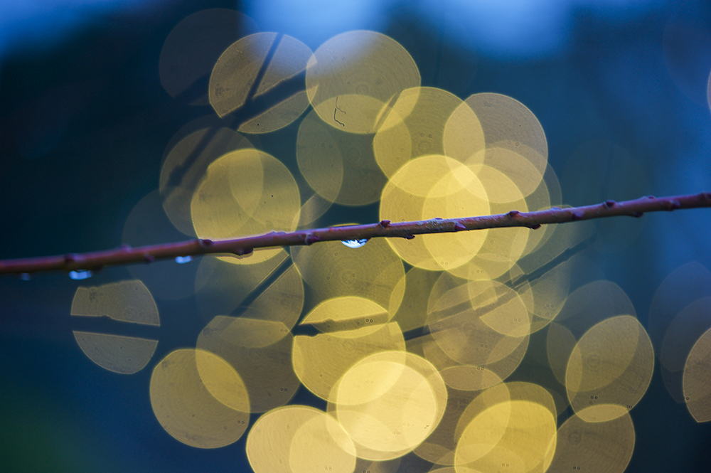 0490_Regentropfenbokeh_1.jpg