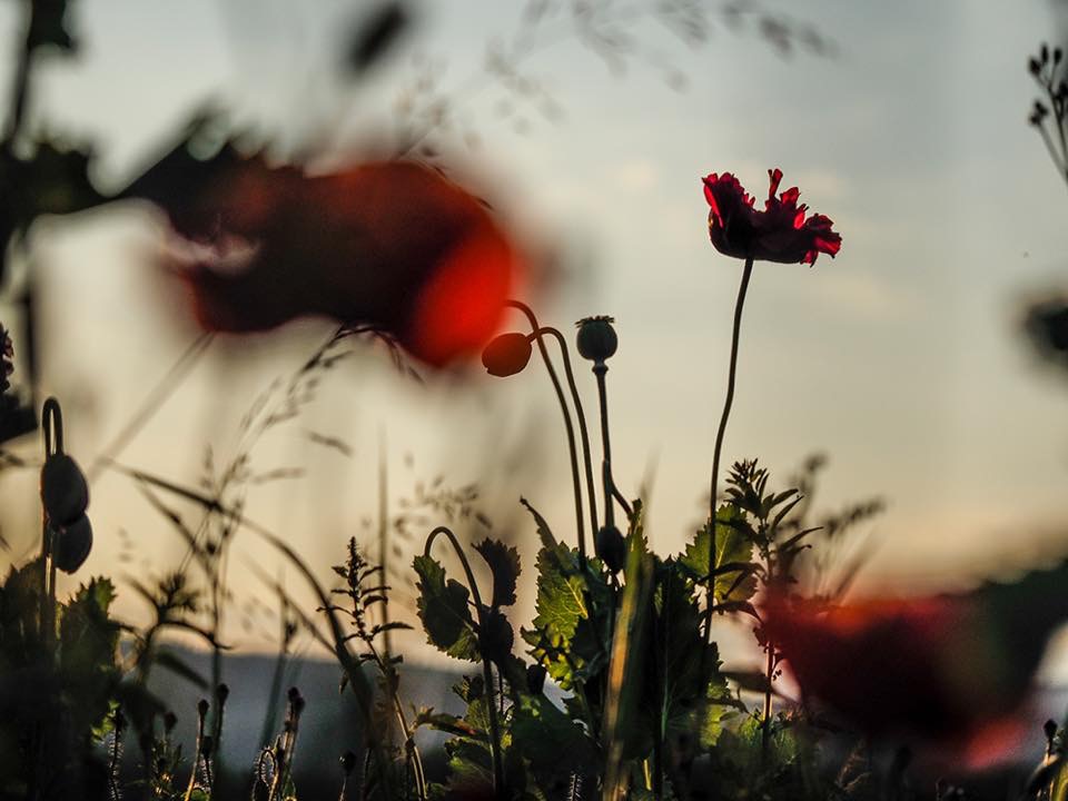 0630_.jpg