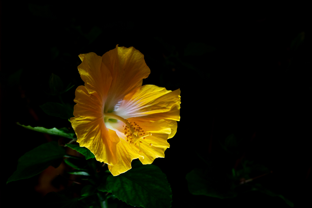220318_DSC7895.jpg