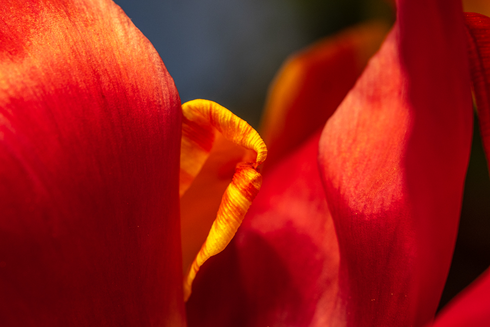 220421_DSCF4406.jpg