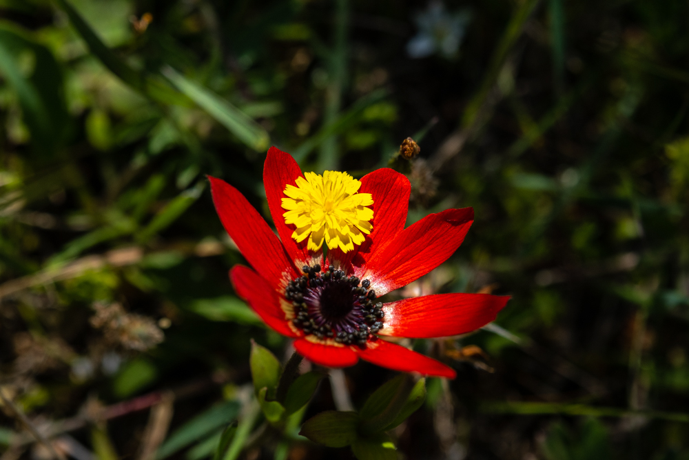 230808_DSCF6098.jpg