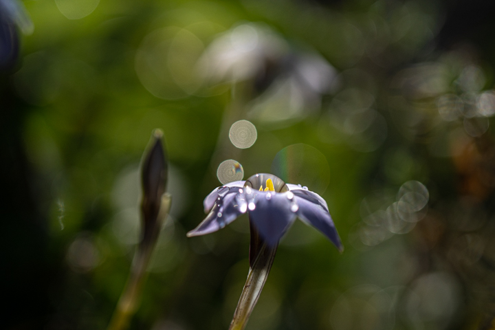 DSC02116.jpg