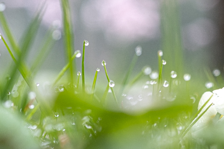 DSCF3680.jpg