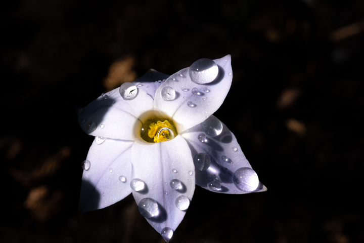 DSCF4301.jpg