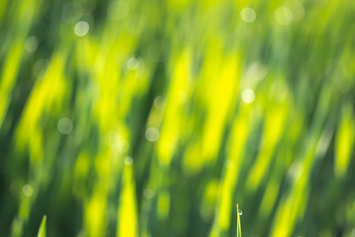 DSCF4600.jpg