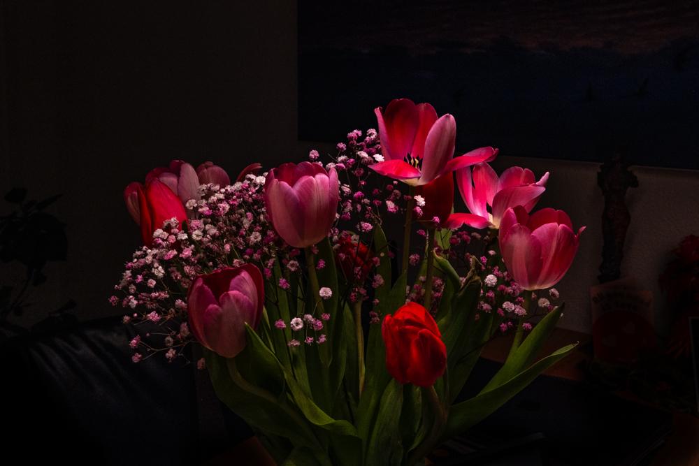 Tulpenstrauss-DSCF7406-HP.jpg
