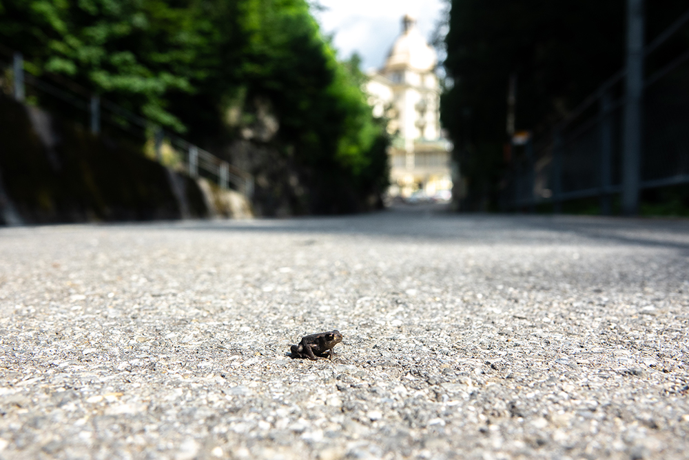 230808_Bischduganzelei_DSC7328_HP.jpg